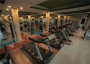 健身熱潮席卷全國(guó) 訓(xùn)練健身器材市場(chǎng)前景廣闊