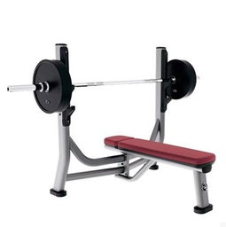 美國(guó)力健lifefitness sofb奧林匹克水平推舉椅 專業(yè)力量訓(xùn)練器材圖片,美國(guó)力健lifefitness sofb奧林匹克水平推舉椅 專業(yè)力量訓(xùn)練器材高清圖片 上海康丁健身器材常州分公司